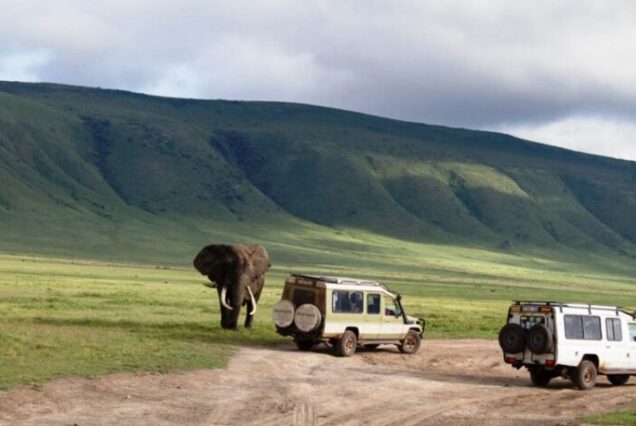 4 Days Ngorongoro Manyara and Tarangire Safari