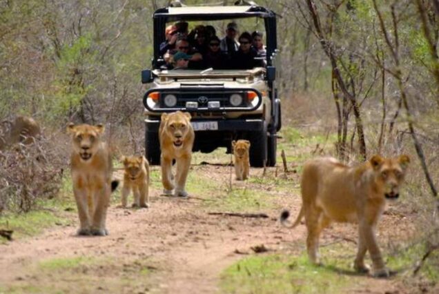 5 Days 4 Nights Tanzania Nature And Wildlife