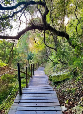 Garden Route Private Tour