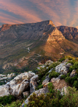 Table Mountain