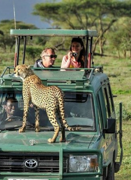 Tanzania-Safari